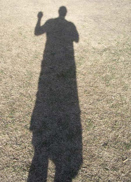 Arizona Shadow