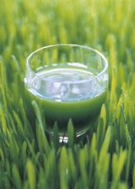 wheatgrass juice