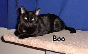 Boo