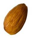a single almond