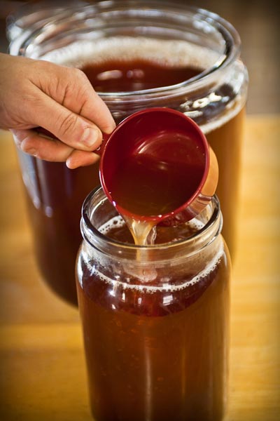 add kombucha starter