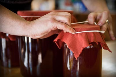 how to make kombucha tea